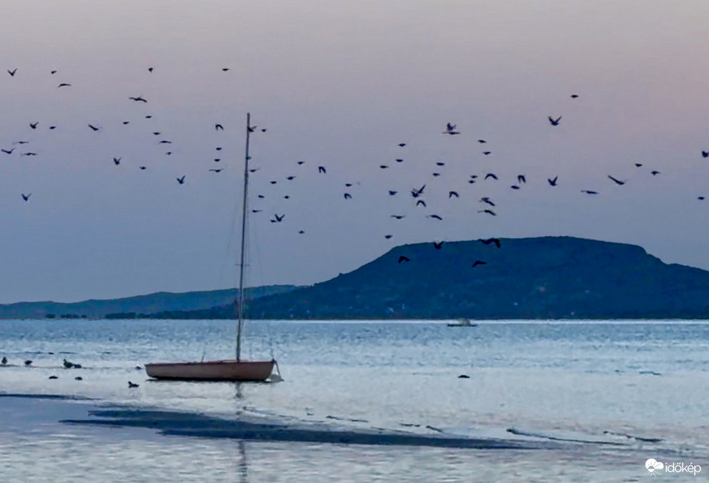 Balaton