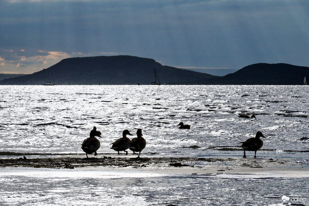 Balaton