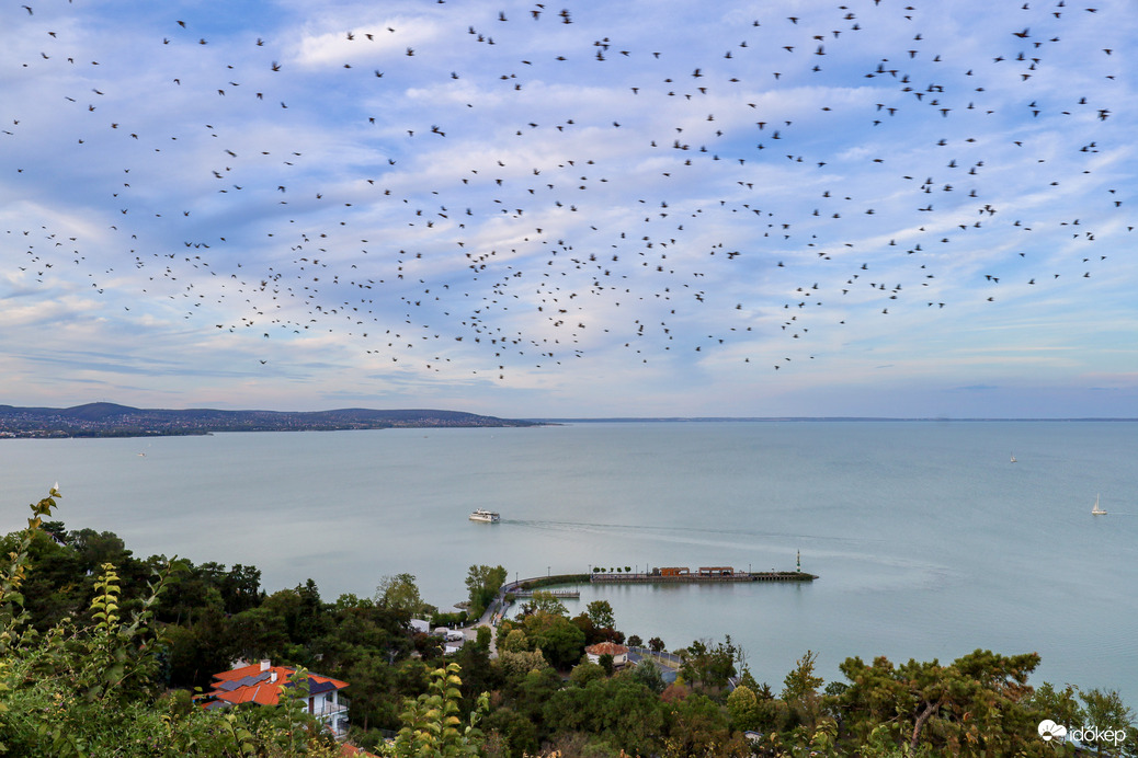 Balaton