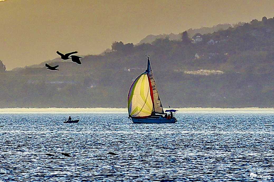 Balaton