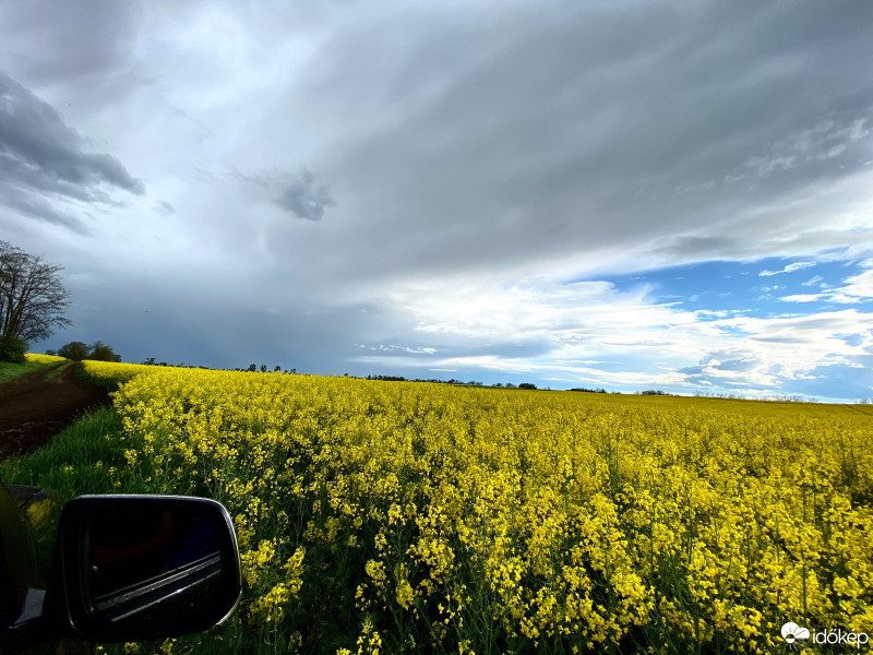 Észlelési fényképek