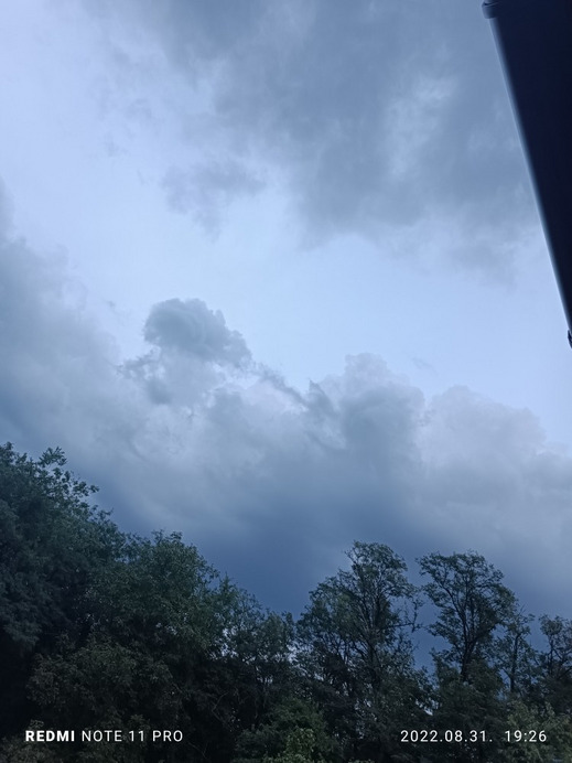 Észlelési fényképek