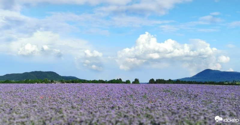 Észlelési fényképek