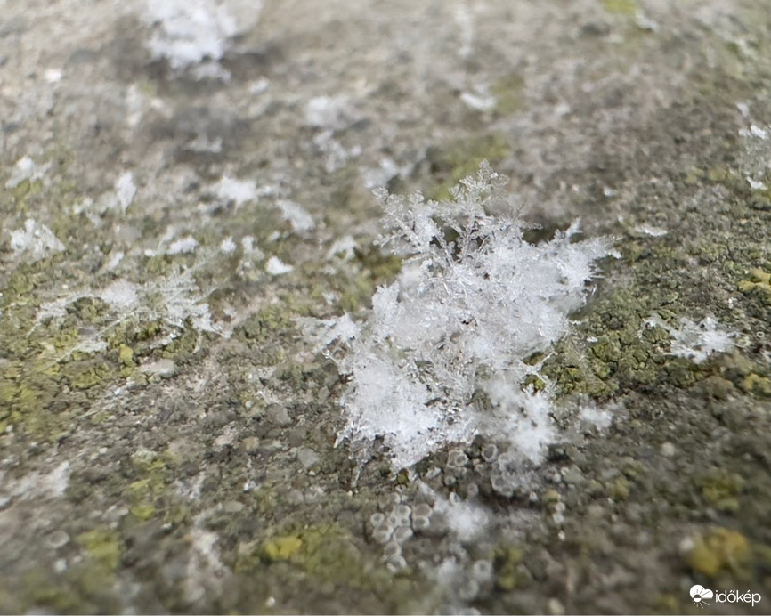 Észlelési fényképek