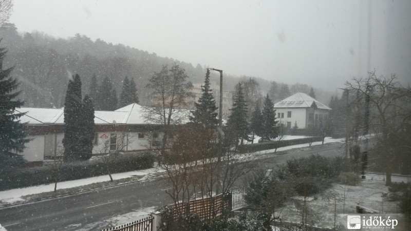 Észlelési fényképek