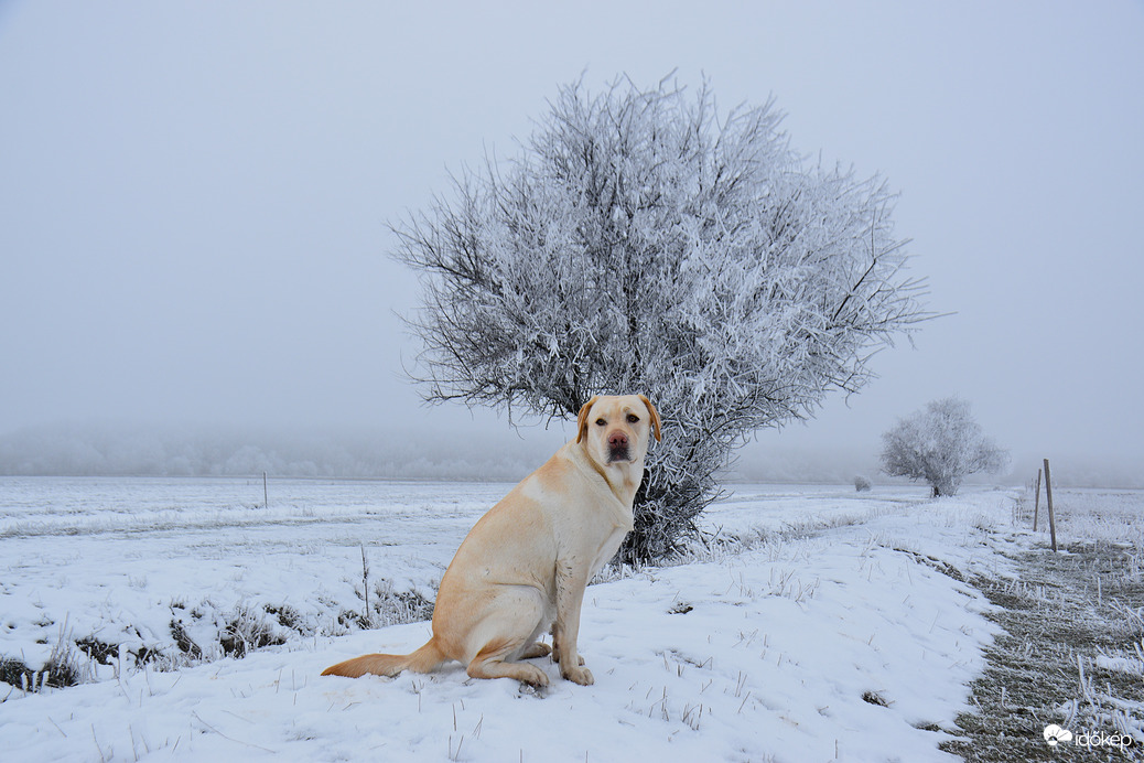Hódmezővásárhely 
