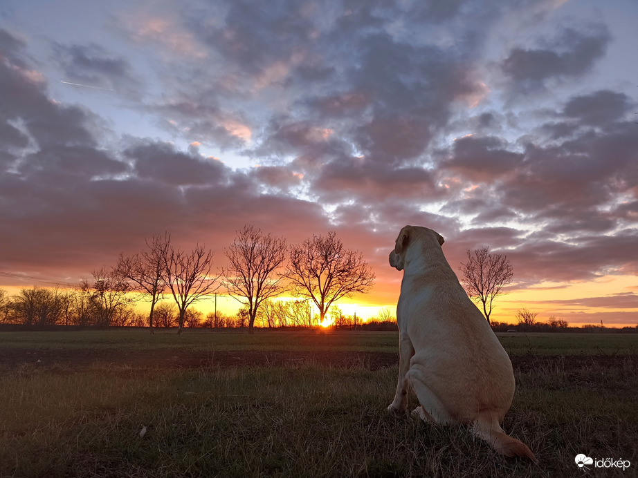 Hódmezővásárhely 