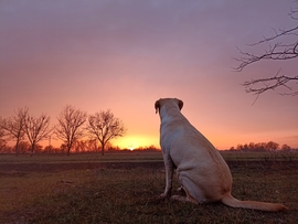 Verseny - július top10