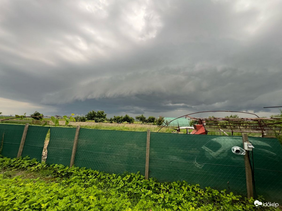 Észlelési fényképek