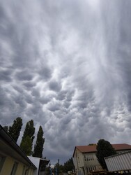 Kútniky