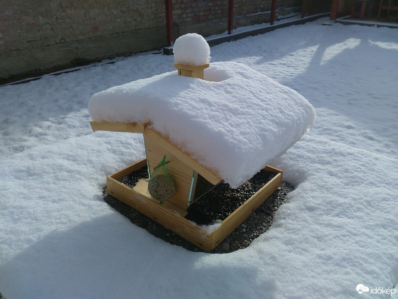 Észlelési fényképek