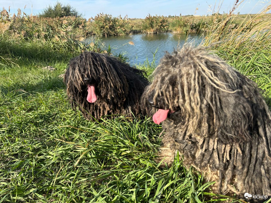 Budapest XVIII.ker - Pestszentimre