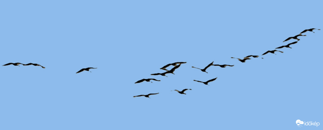 Vadludak is megérkeztek.