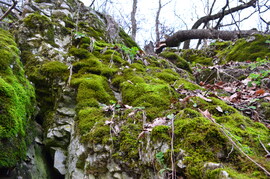 biroroland fotója