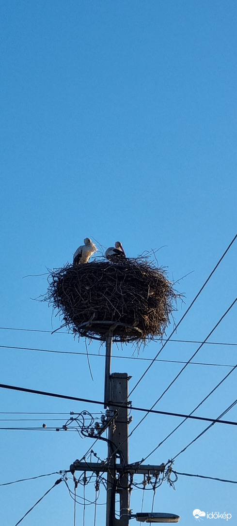 Észlelési fényképek