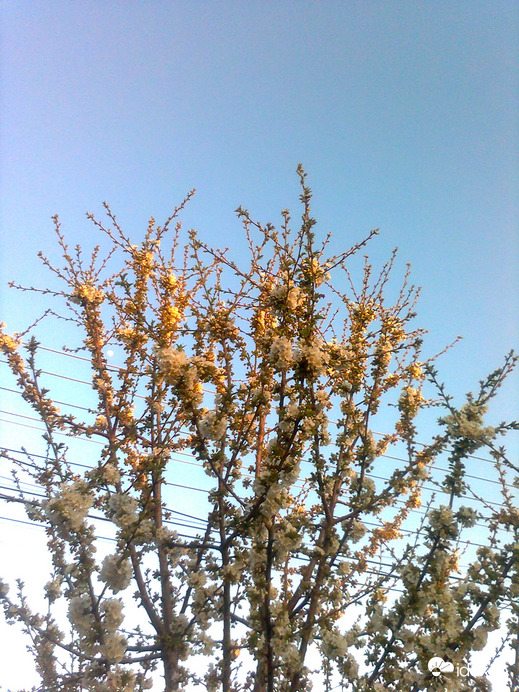Ercsi