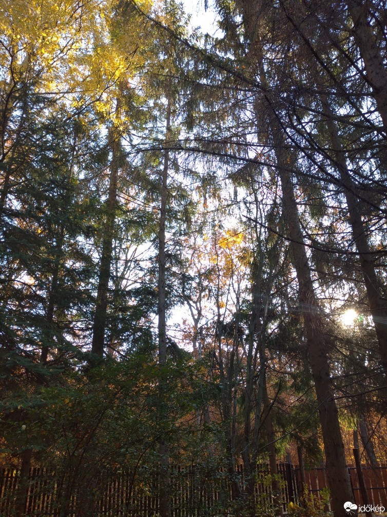 Észlelési fényképek