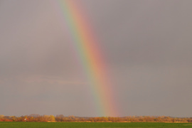 Szivárvány