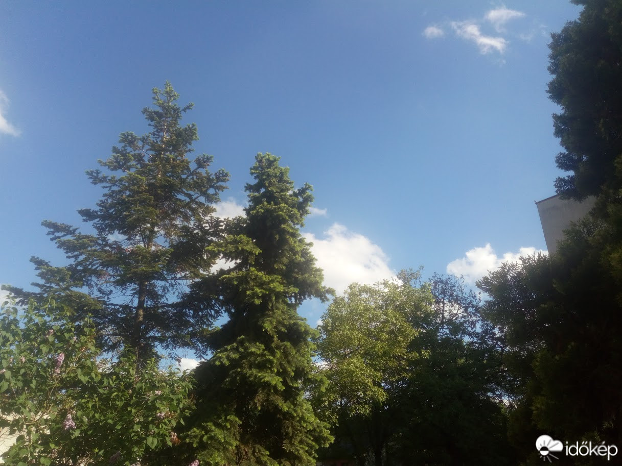 Észlelési fényképek