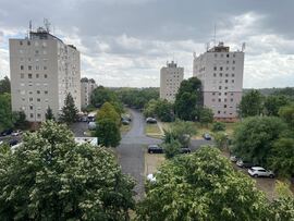 Gyula