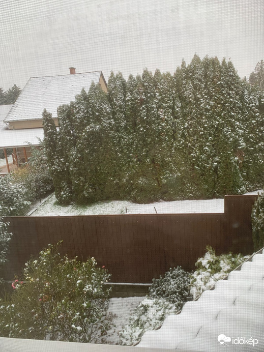 Észlelési fényképek