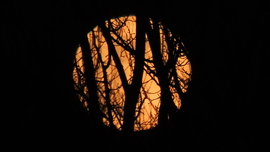 A Hold  mindig "szuper"...