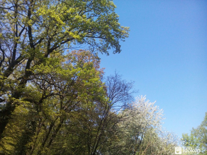 Észlelési fényképek