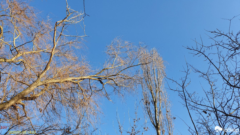 Észlelési fényképek