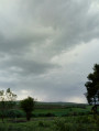 Ostoros