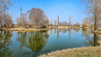 Tükörsima víztükör