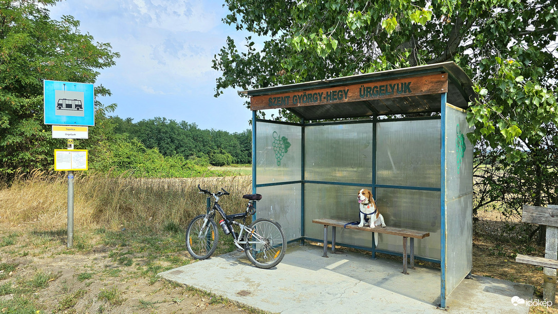 Elfáradtunk, buszra szállunk...