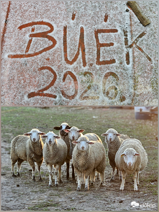 Beee-kés, Boldog Új Évet kíván a Beeergendi együttes!