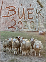 Beee-kés, Boldog Új Évet kíván a Beeergendi együttes!