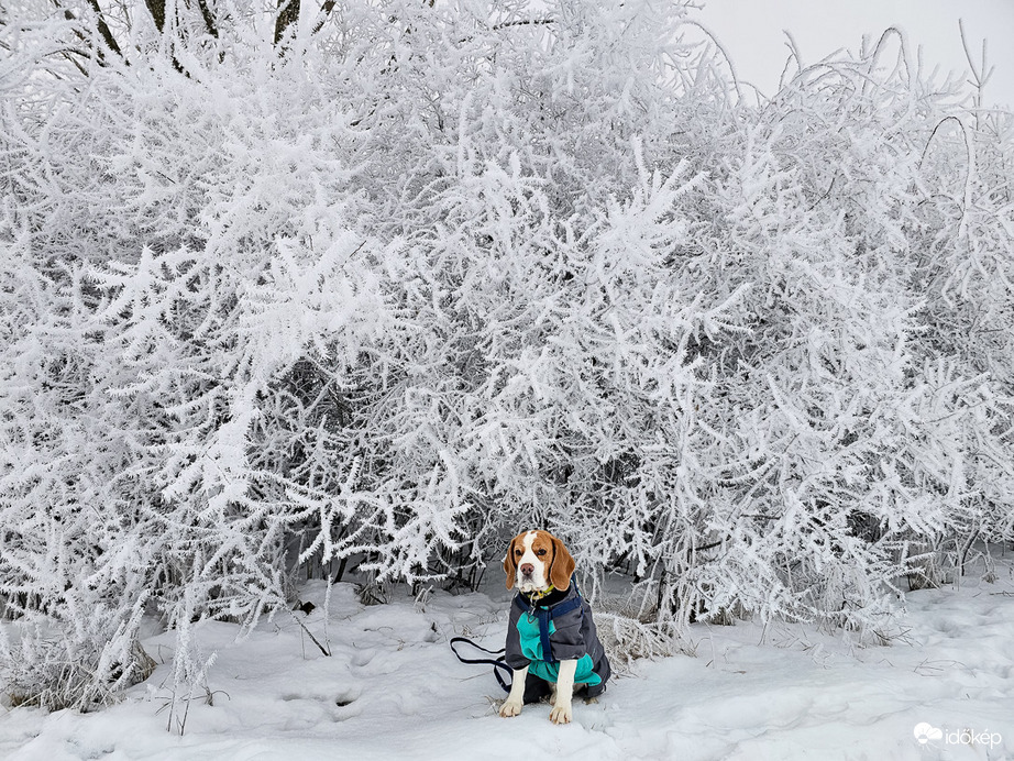 Elveszve Kristályországban