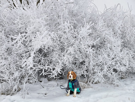 Elveszve Kristályországban