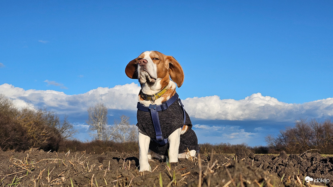 Jaj úgy élvezem én a sétát