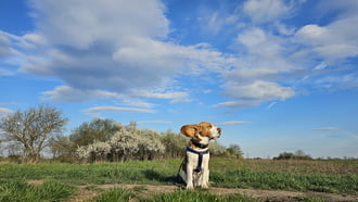 Felszállási engedély megkérve! :)