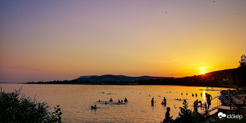 Pálköve 08.16