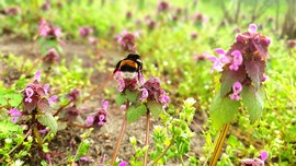 újra itt a napos idő 