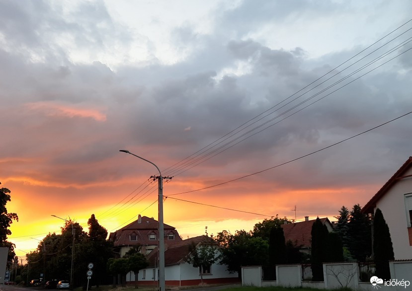 Gyula