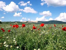 Naszály hegy tavasszal