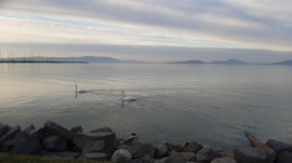 Balatonfenyves