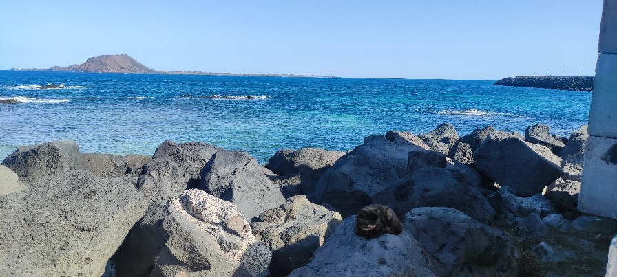 Corralejo