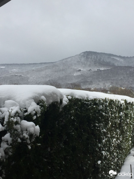 Észlelési fényképek