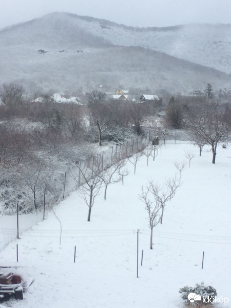 Észlelési fényképek