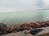 Balatonboglár