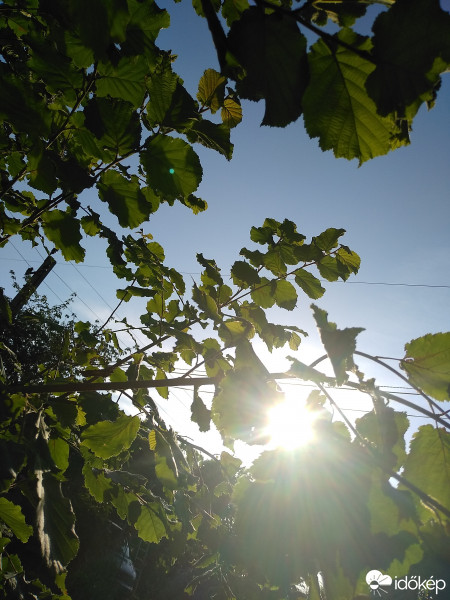 Budapest XXIII.ker - Soroksár