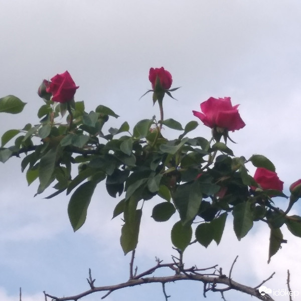 Budapest XXIII.ker - Soroksár