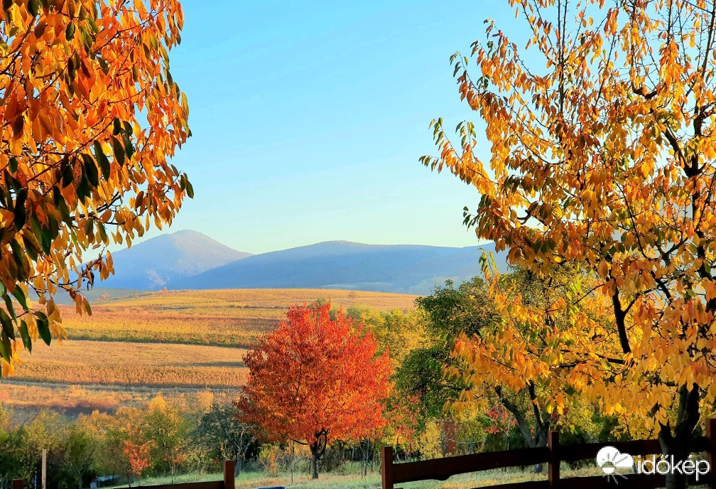 Észlelési fényképek