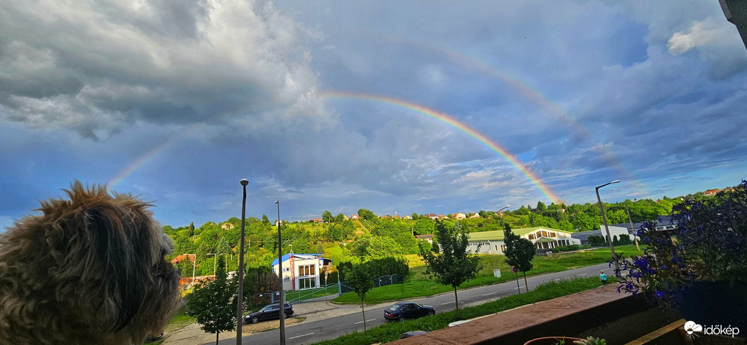 Észlelési fényképek